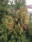 IMG_3833.JPG