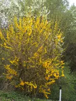 BILD9166.webp