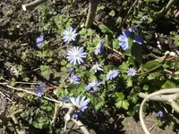 BILD9119.JPG