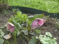 BILD9158.webp