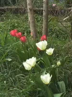 BILD9168.webp