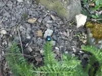 BILD9124.JPG
