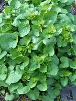 image001.webp