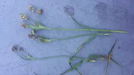 20180418_121858.webp