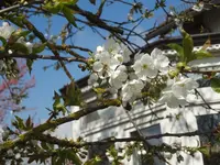 DSC02727.webp