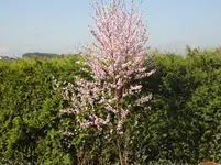 DSC02708.webp