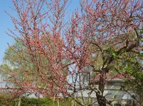 DSC02709.webp