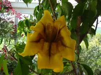 DSC02720.webp