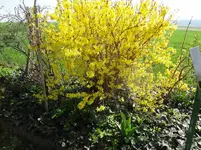 DSC02703.webp