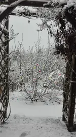 IMG_20180401_090423.webp