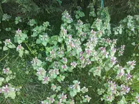 20180419_122706.webp