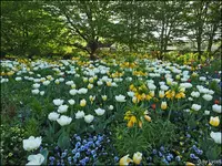 c046.webp