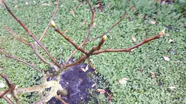 20180419_173227.webp