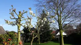 20180419_175840.webp