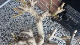 20180419_194453.webp