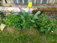 IMG_20180419_183948641.webp