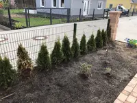 baum4.jpg