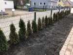 baum3.jpg