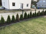 baum1.jpg