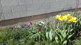 IMG_20180419_163441.webp
