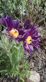 IMG_20180419_163410.jpg