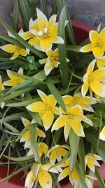 IMG_20180419_163308.webp