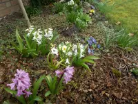 DSCN0004.webp