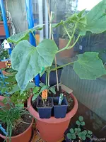 c048.webp