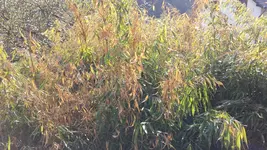 20180420_174204.webp