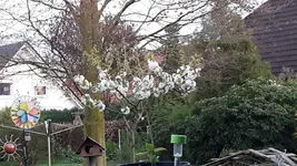 20180420_203530.webp