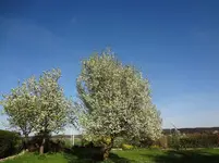 DSC02736.webp