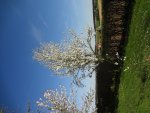 DSC02741.jpg