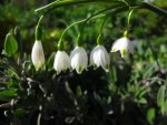 DSC02740.JPG