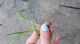 20180421_131439.webp