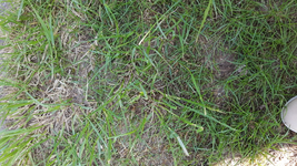 20180421_131555.webp