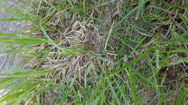 20180421_131600.webp