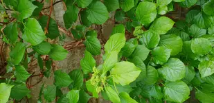 20180421_142618.webp