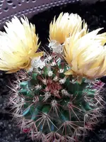 IMG-20180421-WA0022.webp