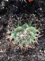IMG-20180421-WA0021.webp