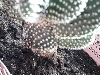 IMG-20180421-WA0019.webp