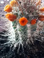 IMG-20180421-WA0020.webp