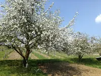 IMG_20180421_155147.jpg