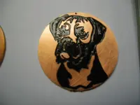 IMGP6001.webp