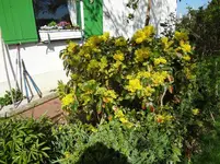 DSC02746.jpg