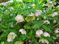 DSC02747.webp