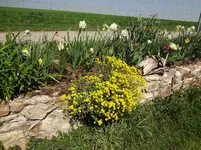 DSC02763.webp