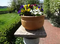 DSC02766.jpg