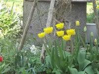 DSC02761.webp