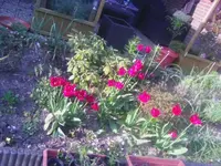 IMG_20180421_190440.webp