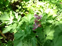 IMG_20180422_094958025.webp